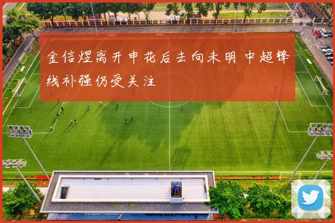 金信煜离开申花后去向未明 中超锋线补强仍受关注