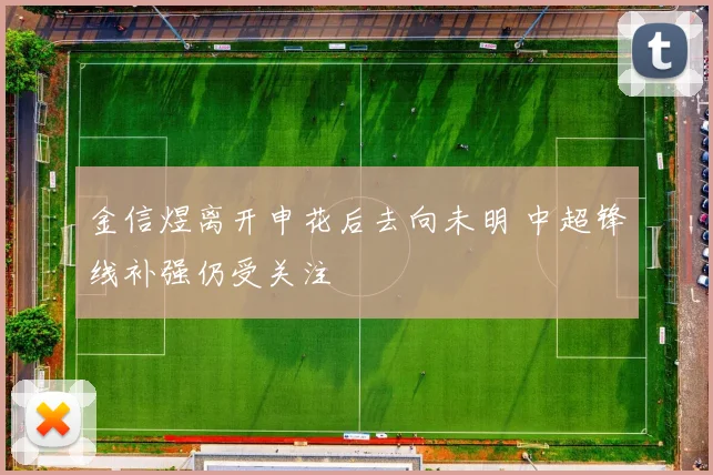 金信煜离开申花后去向未明 中超锋线补强仍受关注