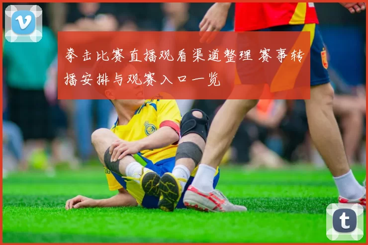 拳击比赛直播观看渠道整理 赛事转播安排与观赛入口一览