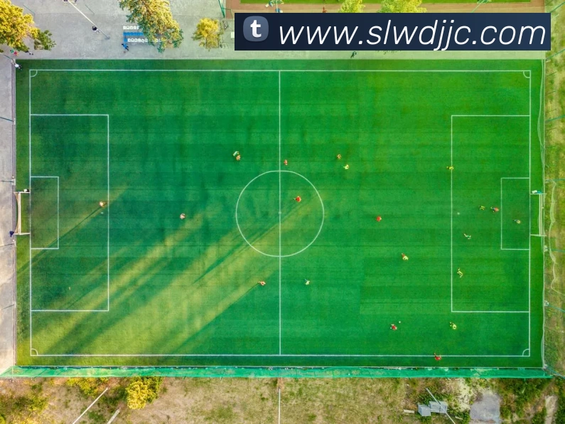 多媒体互动体验